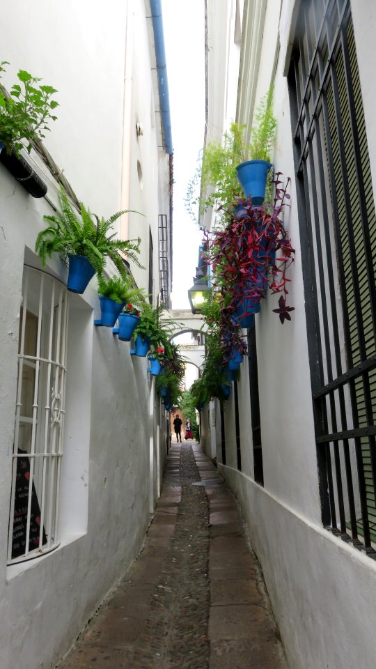 Córdoba (España)