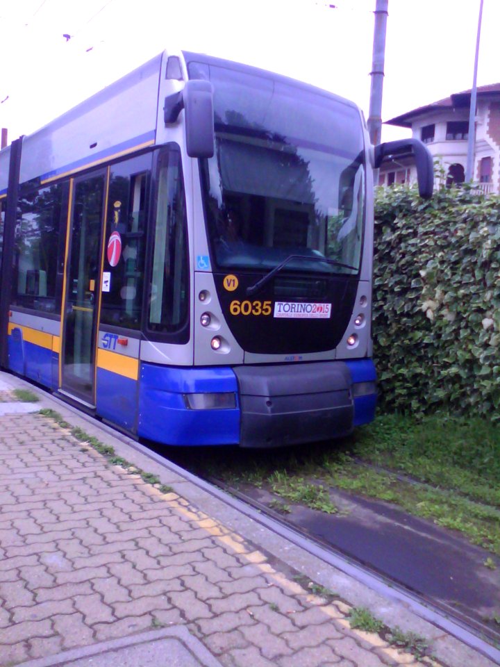 TRAM NASCOSTO DALLA SIEPE (di Giulio Ticli)