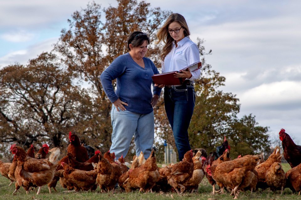 Parker Farm in Cromwell, Oklahoma
