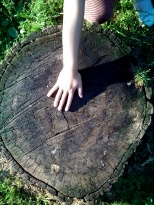61. VORREI DARTI UNA MANO (di Marina Lissandrello)