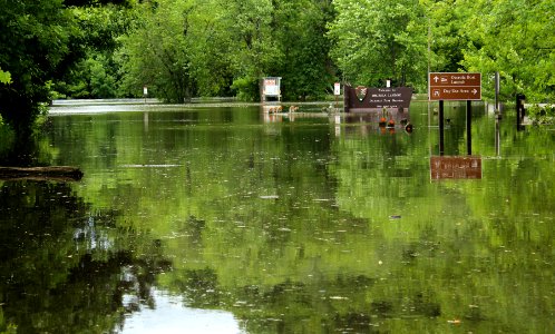 RuppA OsceolaLanding FloodedLandingandSignage 20160714 vpr