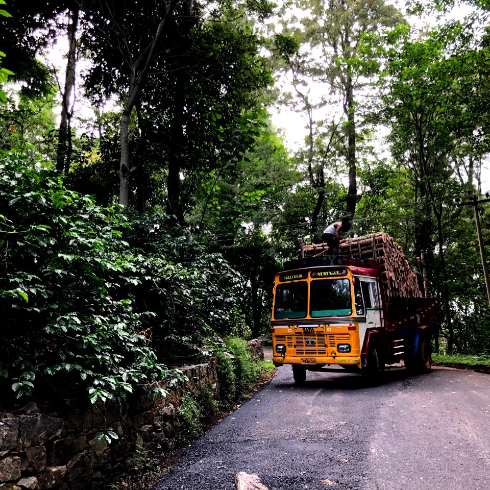 32 km loop road Yercuad