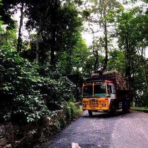 32 km loop road Yercuad