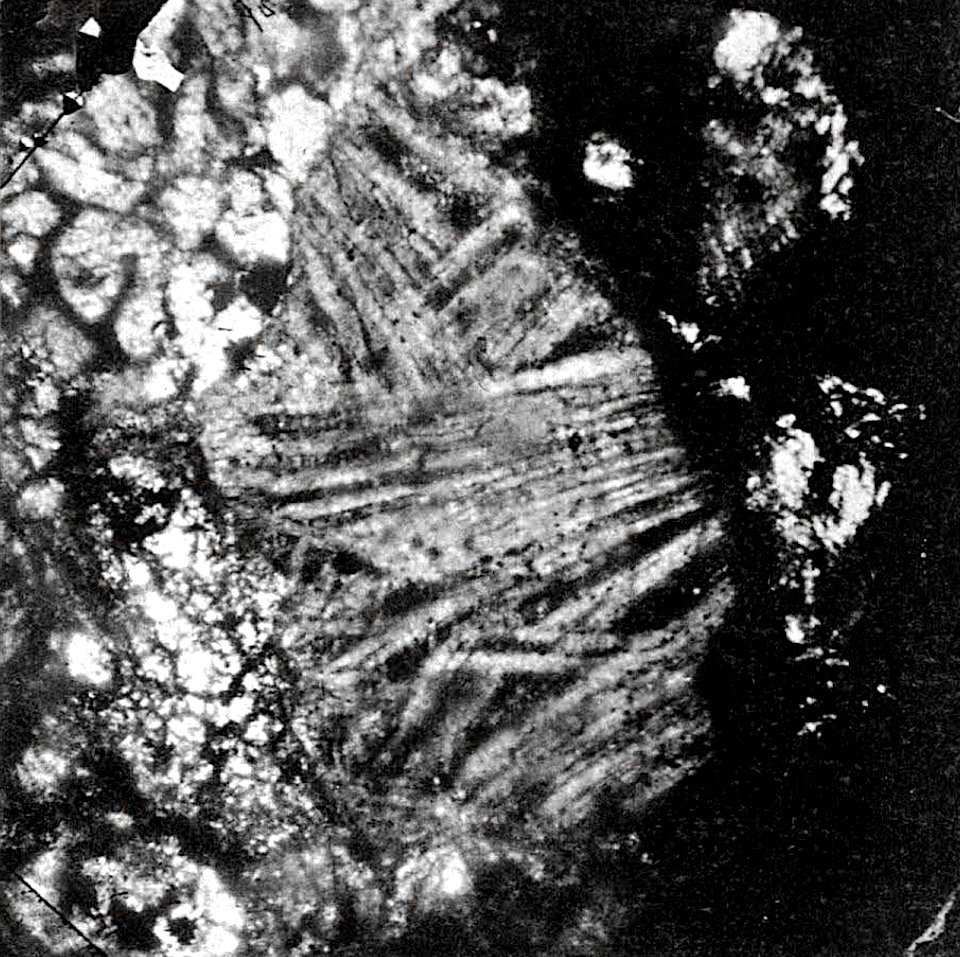 Table 26 - Figure 4