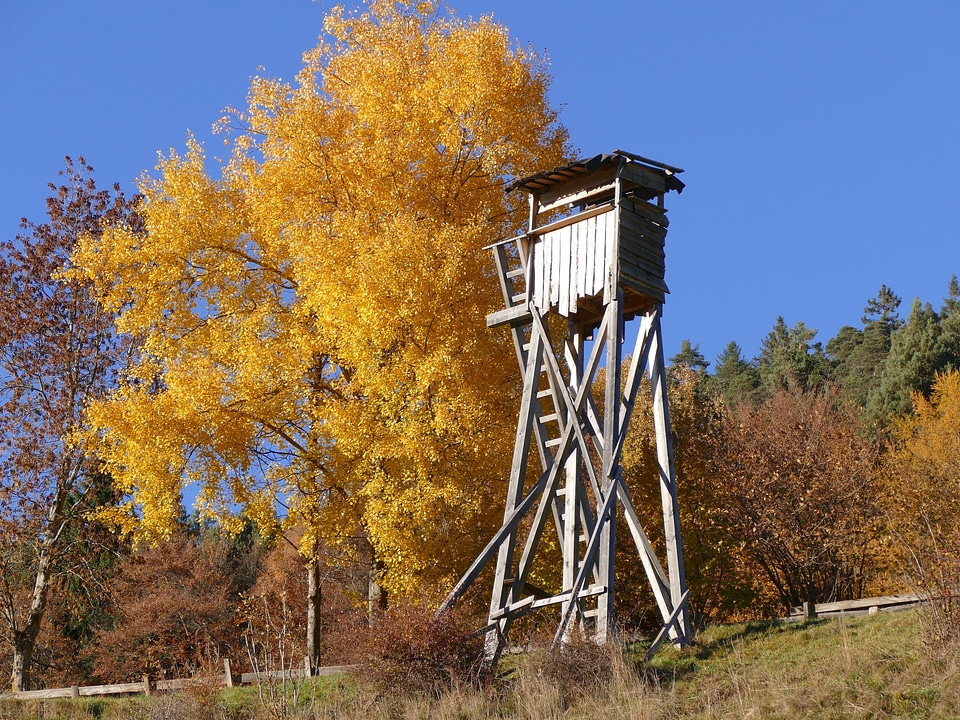 Wild hirsch november
