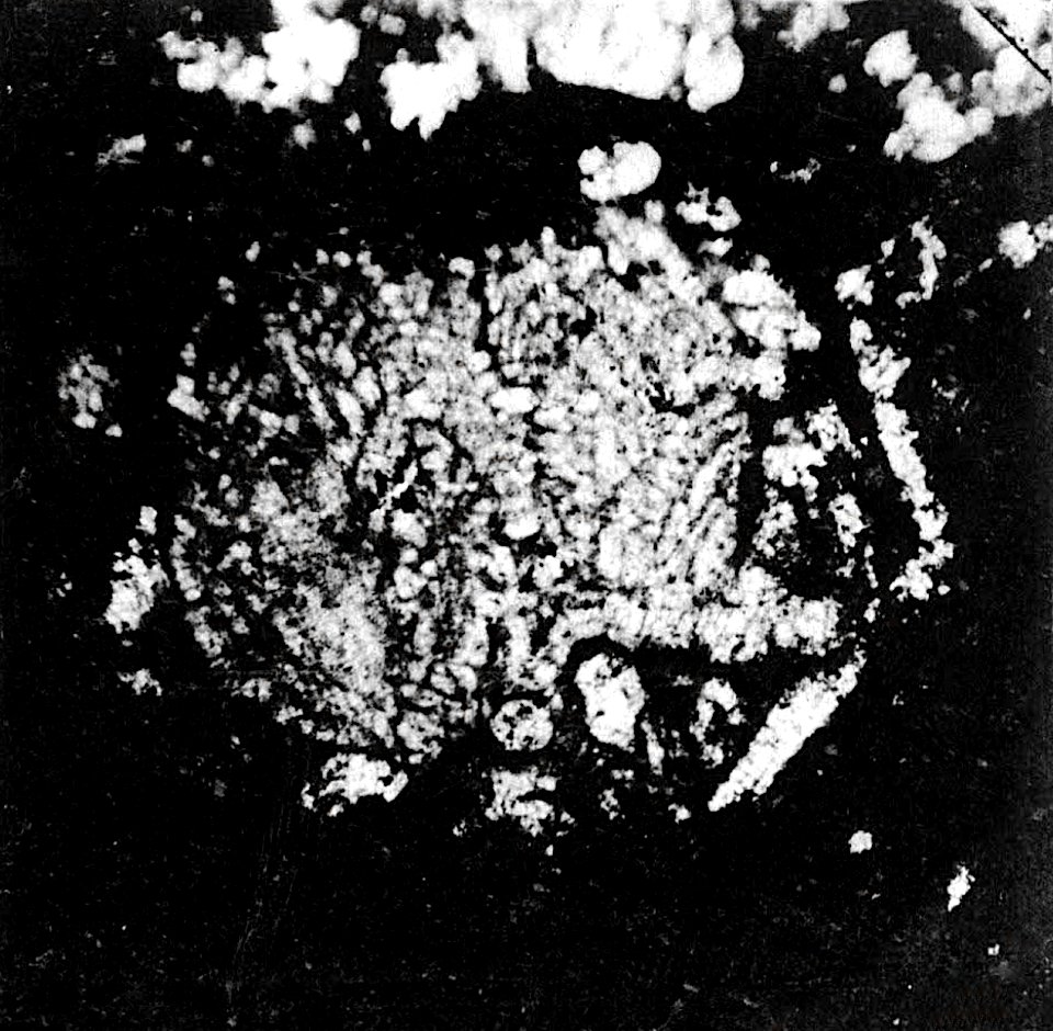 Table 23 - Figure 6