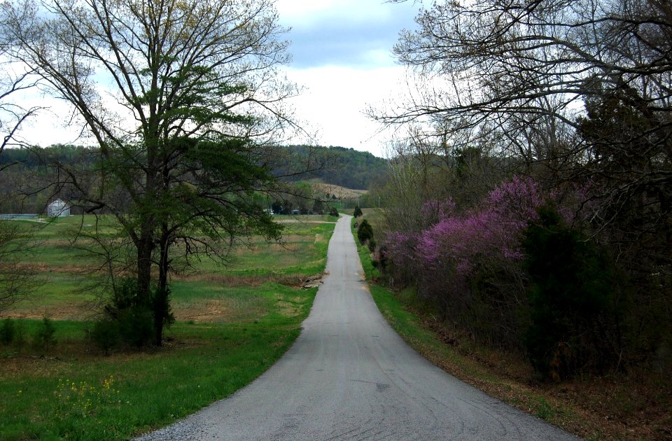 Chandler Farm Road