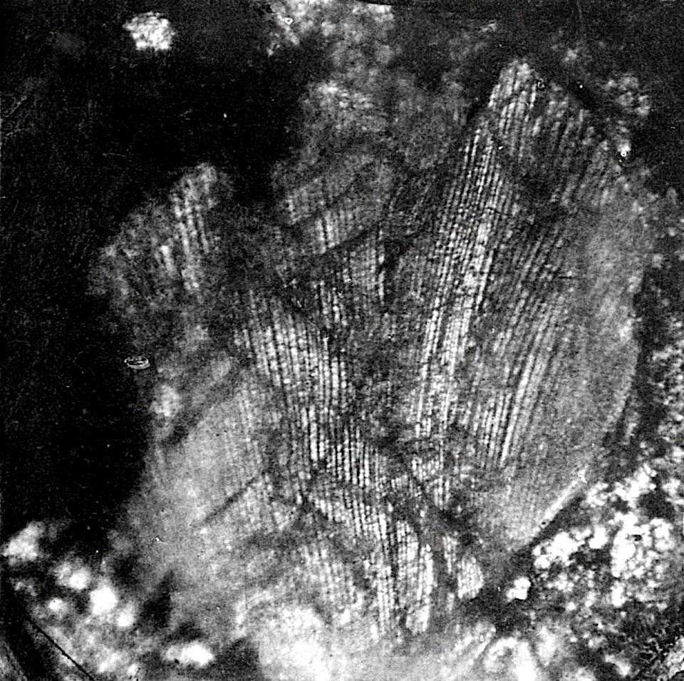 Table 01 - Figure 4