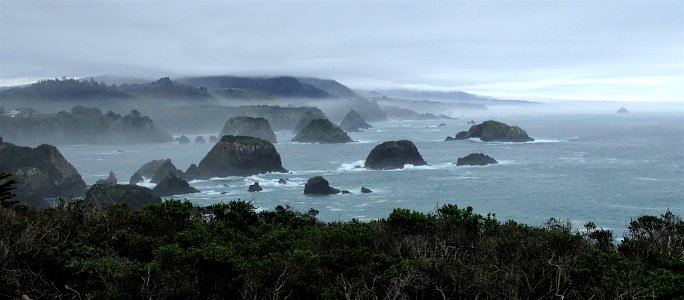 Mendocino Coast in mist