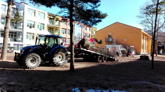 OMBRA E LUCE, ADDIO ED EVVIVA (di Anna Varnai)