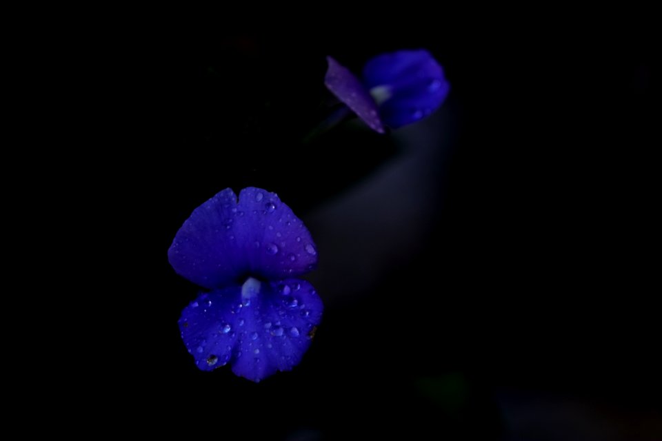 DSCF1373
