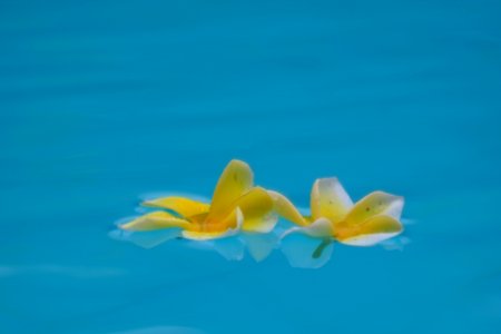 DSCF2451