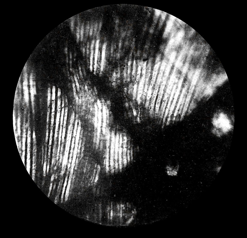 Table 09 - Figure 1
