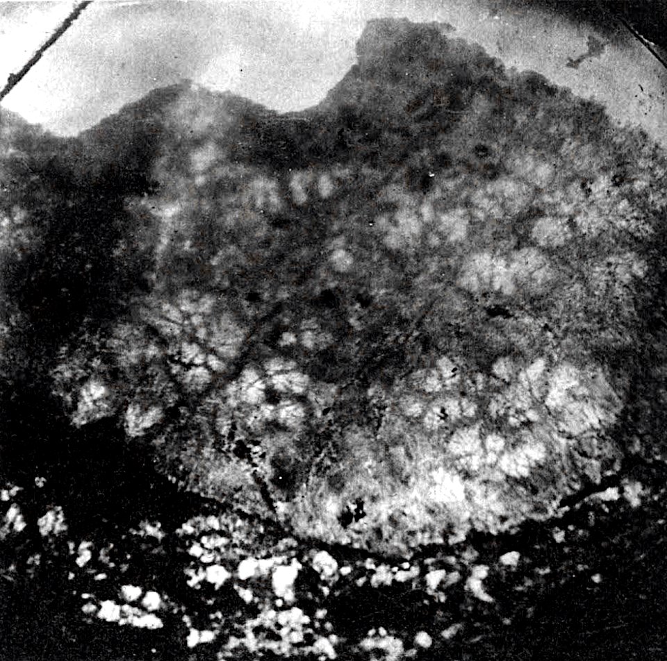 Table 12 - Figure 6