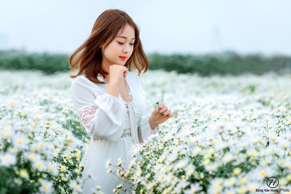 Đồng Văn Hùng; chụp ảnh cúc họa mi