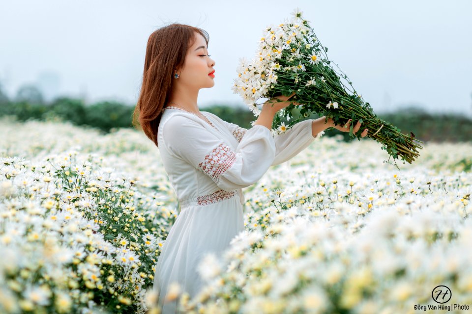 Đồng Văn Hùng; chụp ảnh cúc họa mi