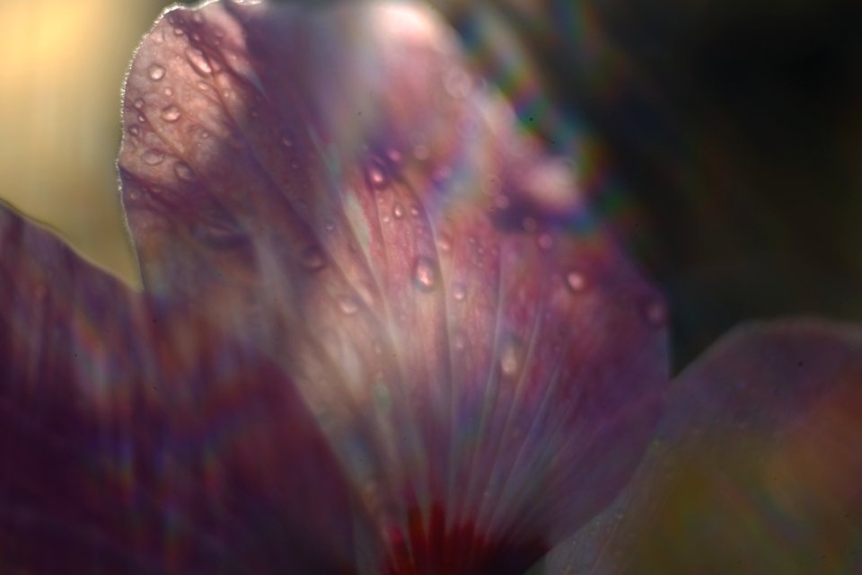 DSCF1868