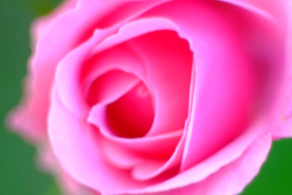 DSCF3083