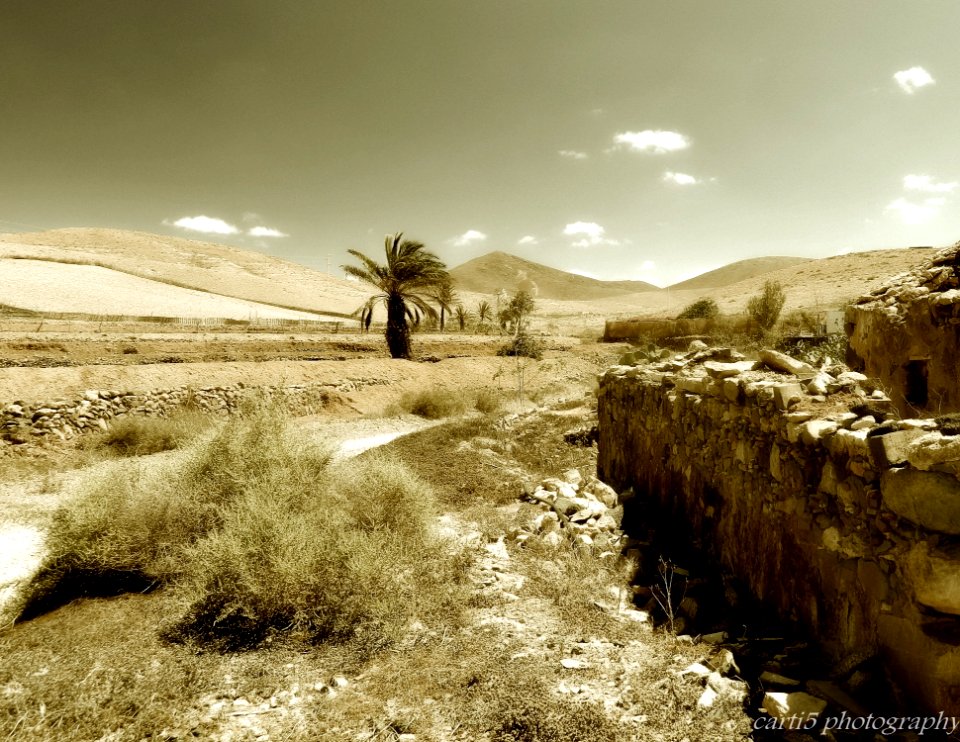 Inside Fuertevemtura - desert