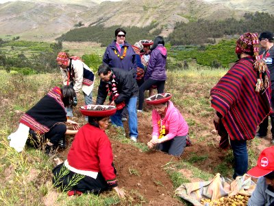 8 INDIGENA-CERCA CHINCHORO-  38