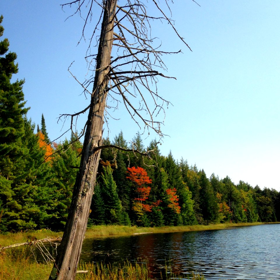 170914-FS-Ottawa-SH-017