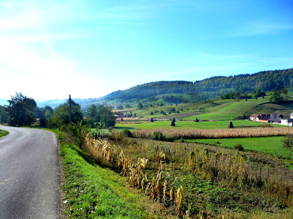 Passing by a country road