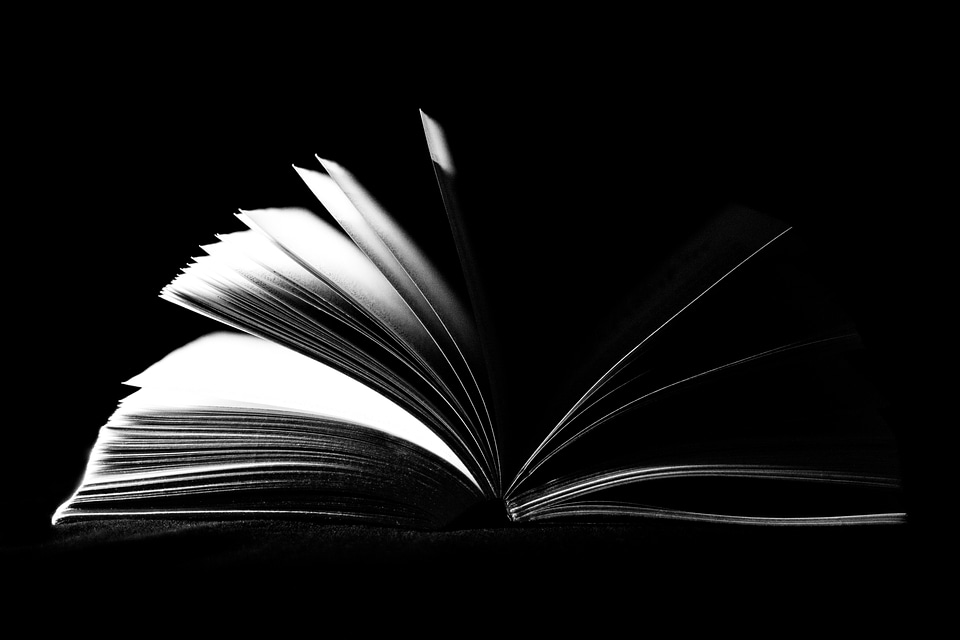 Literature textbook school