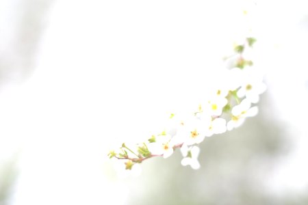 DSCF5340