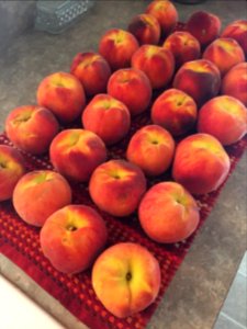 Sweet Colorado Peaches