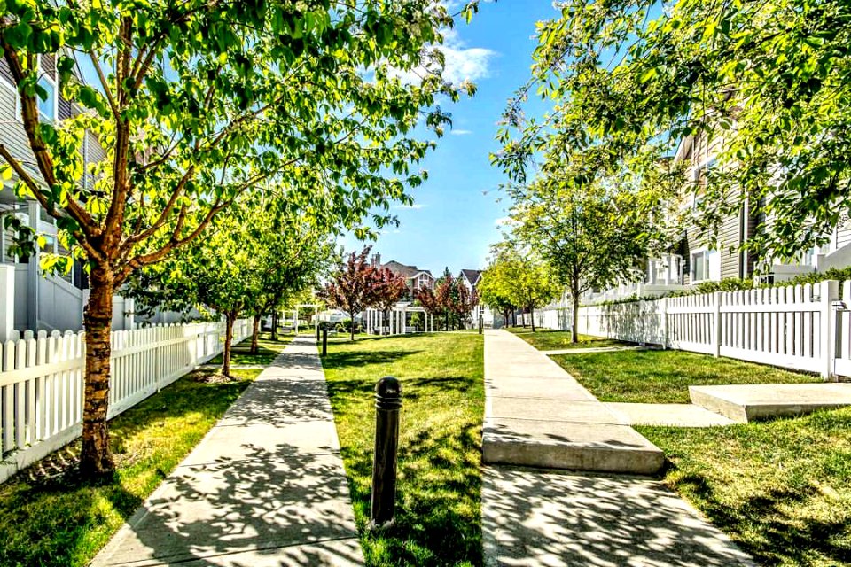 #community #park in #tuscanyyyc ! #yyc #realestate #photography #calgary #yycnow #dslr #realtor #yycre #captureyyc #summer