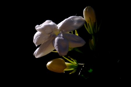 DSCF4947