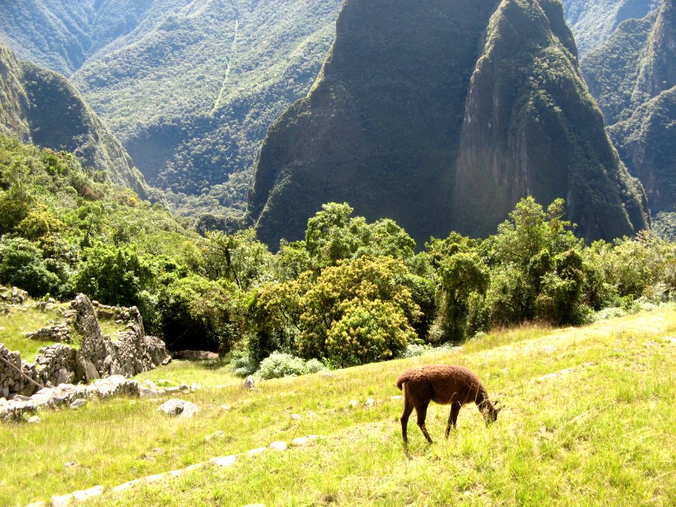 20 Machupichu 063