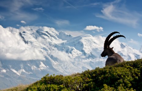 Massif du Mont Blanc, Haute-Savoie, France photo