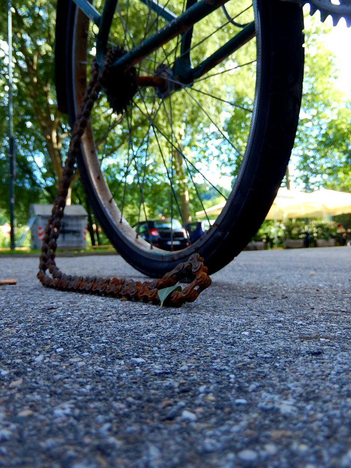 78. MOBILITÀ INSOSTENIBILE (di Linda Riu)