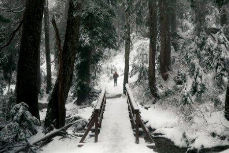 Dog Mountain - North Vancouver-  Wander Vancouver
