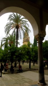 Córdoba (España) Mezquita photo