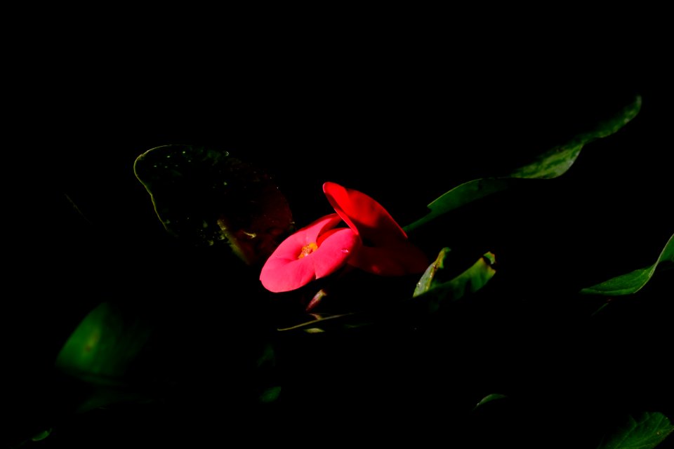 DSCF3485