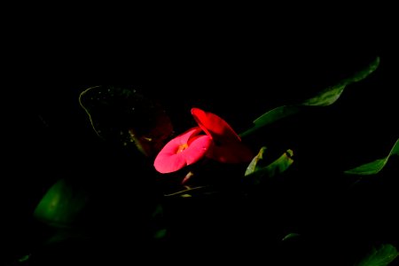 DSCF3485