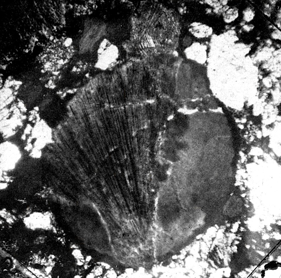 Table 06 - Figure 1
