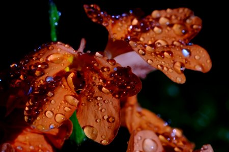 DSCF3431