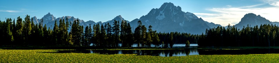 Heron Pond and Teton Range photo