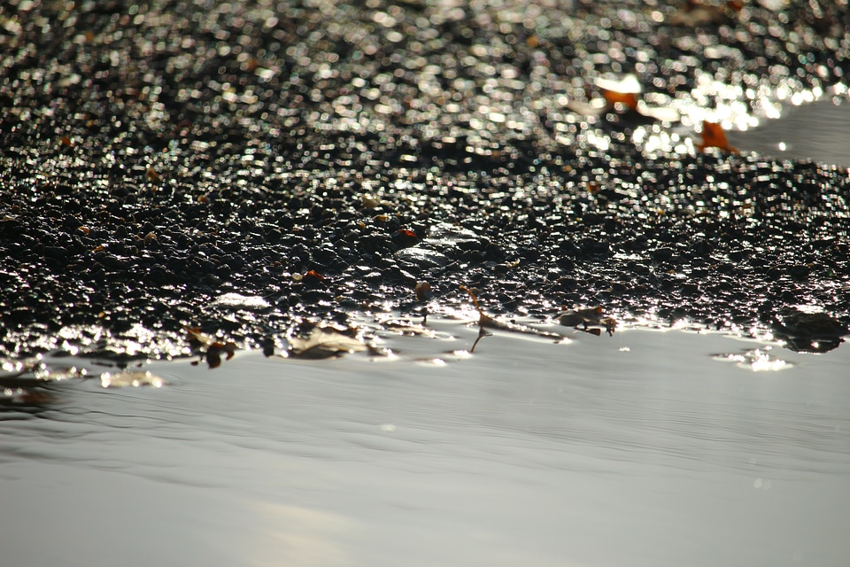 Stones mirroring puddle