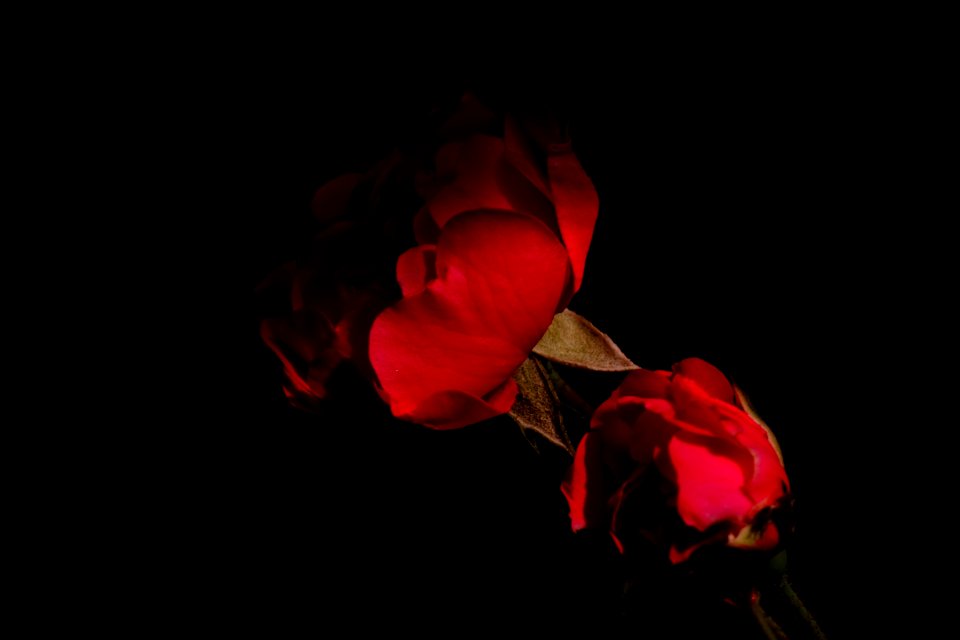 DSCF3475
