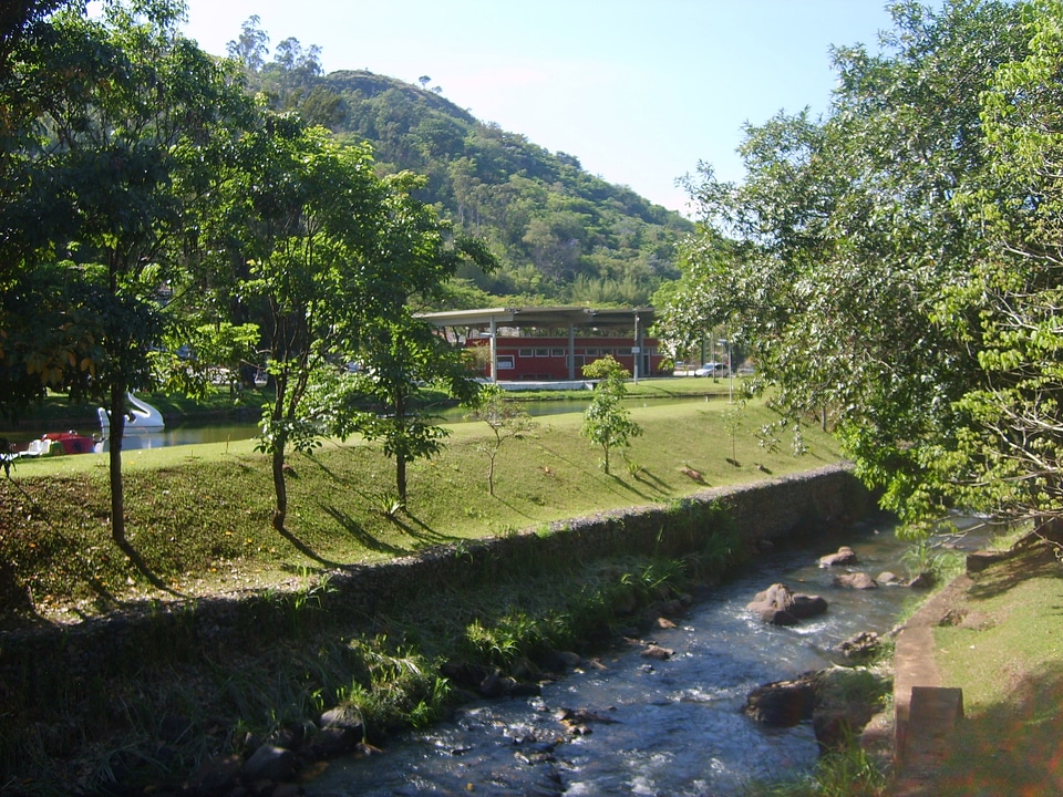 Riverside river stream water stream