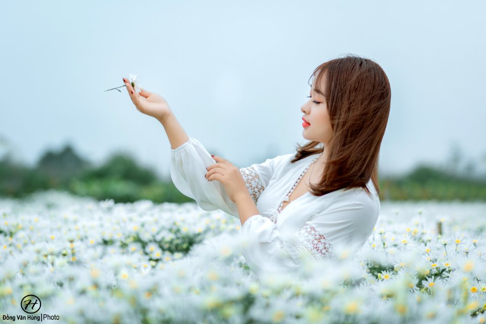 Đồng Văn Hùng; chụp ảnh cúc họa mi