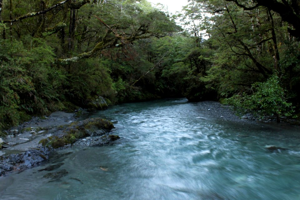 Alfred River, Lewis Pass
