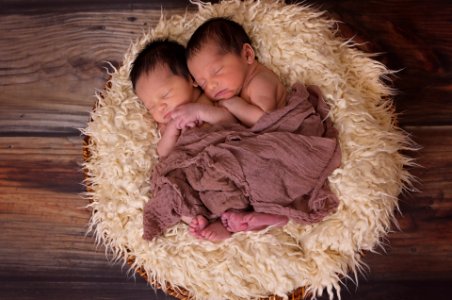 Baby Twins photo