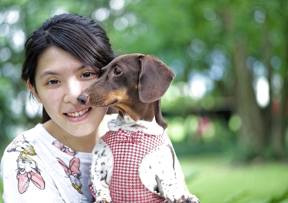 Cute cuddle dog clothes