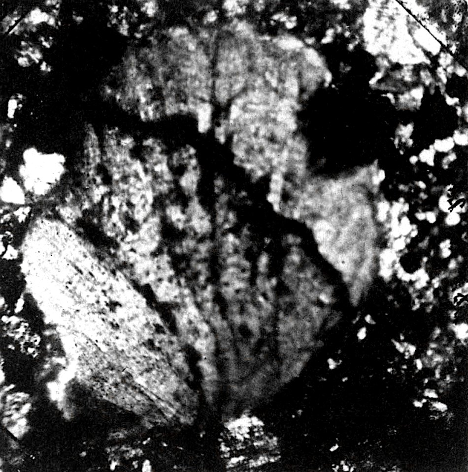 Table 04 - Figure 1