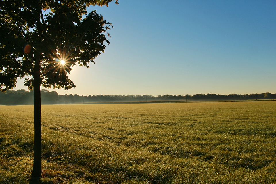 Landscape rural nature